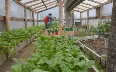 La Misión Salesiana será campo de estudio de la nueva carrera Ingeniería en Agroecología
