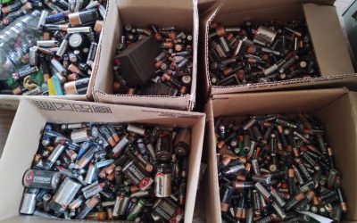 Para que la Casa Común “nos pueda seguir recibiendo entre sus brazos”