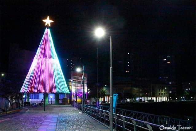Vuelta de Rocha tiene su árbol de Navidad