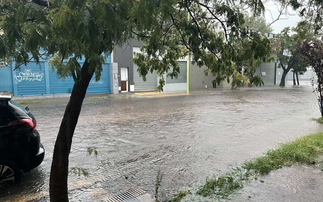 Bahía Blanca bajo el agua: una catástrofe sin precedentes que deja a la ciudad aislada y devastada