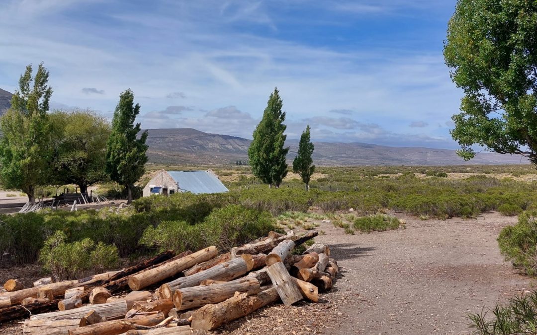 Tres hermanos y una fiambrera